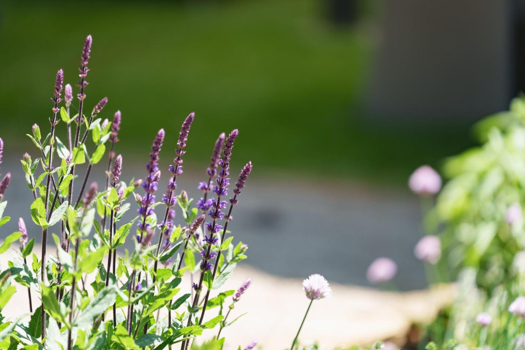 Les Jardins D'Anais Hotel Люксембург Екстериор снимка